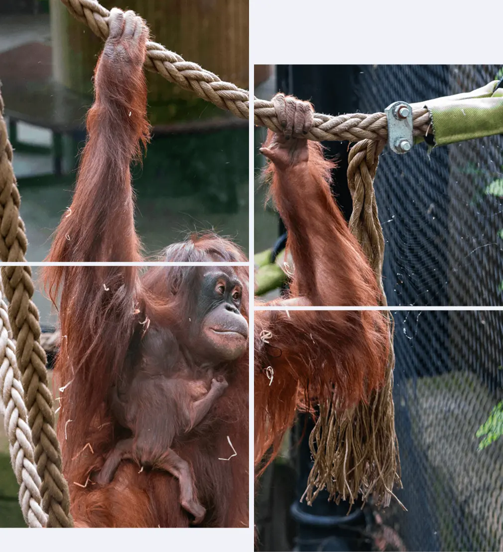Aalborg Zoo